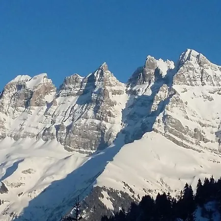 Rey-bellet 3* Les Crosets